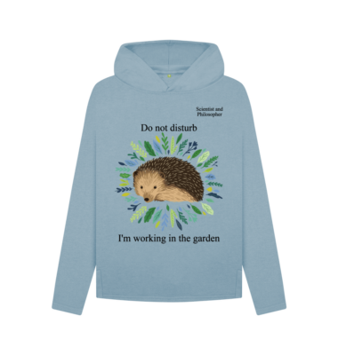 Women's Do Not Disturb Relaxed Fit Hoodie